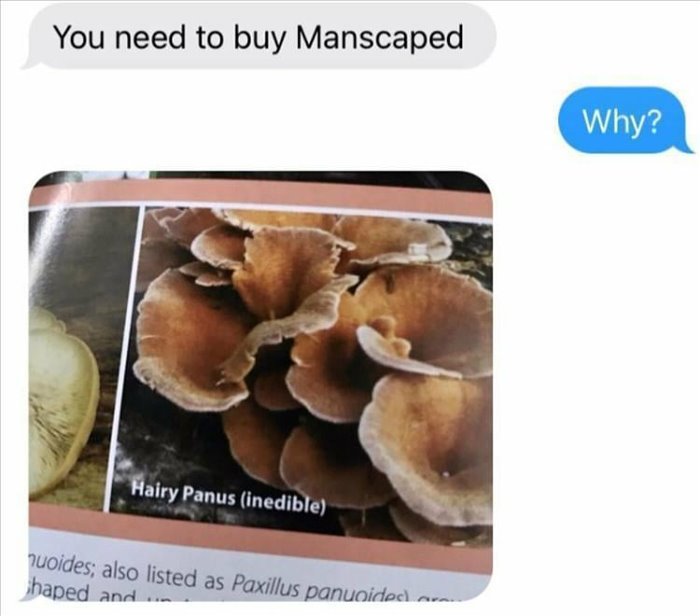 manscaped