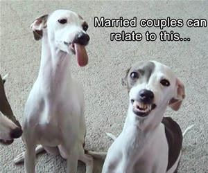 married couples can relate funny picture