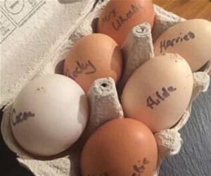 names on every egg funny picture