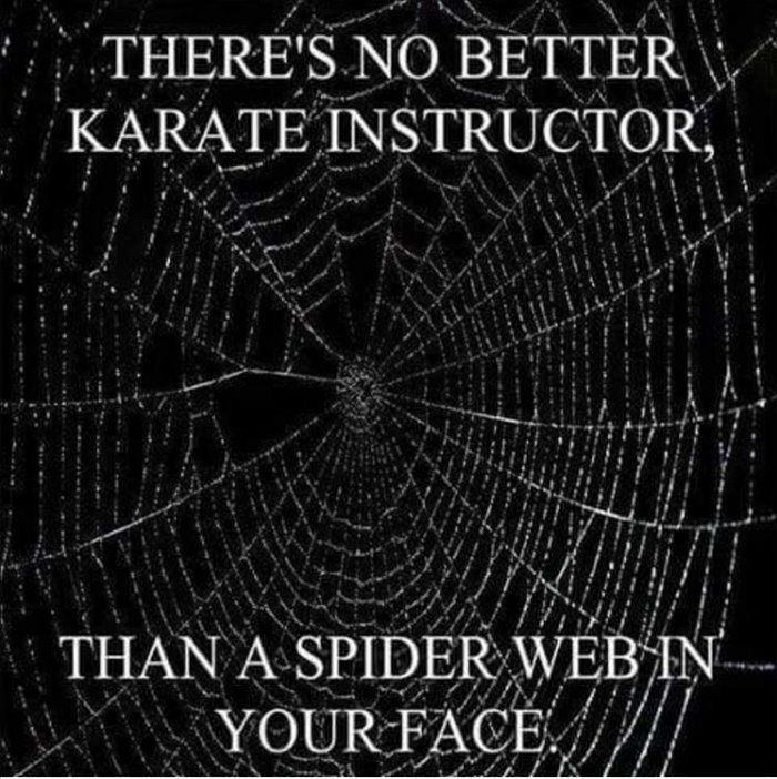 no better instructor