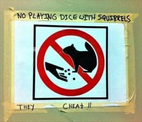 no dice with the squirrels