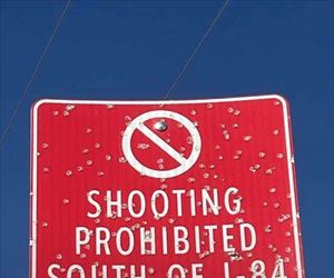 no shooting