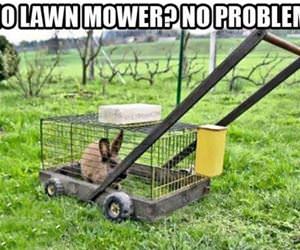 no lawn mower no problem funny picture