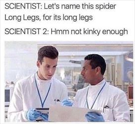 not kinky enough