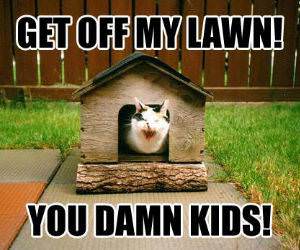 Off My Lawn Cat