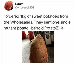 one single potato