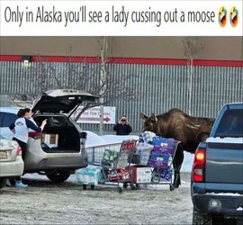 only in alaska