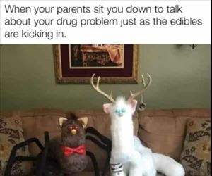 parents sit