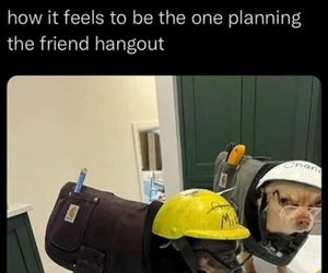 planning on hanging out