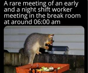 rare meeting