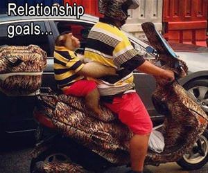 relationship goals for me funny picture