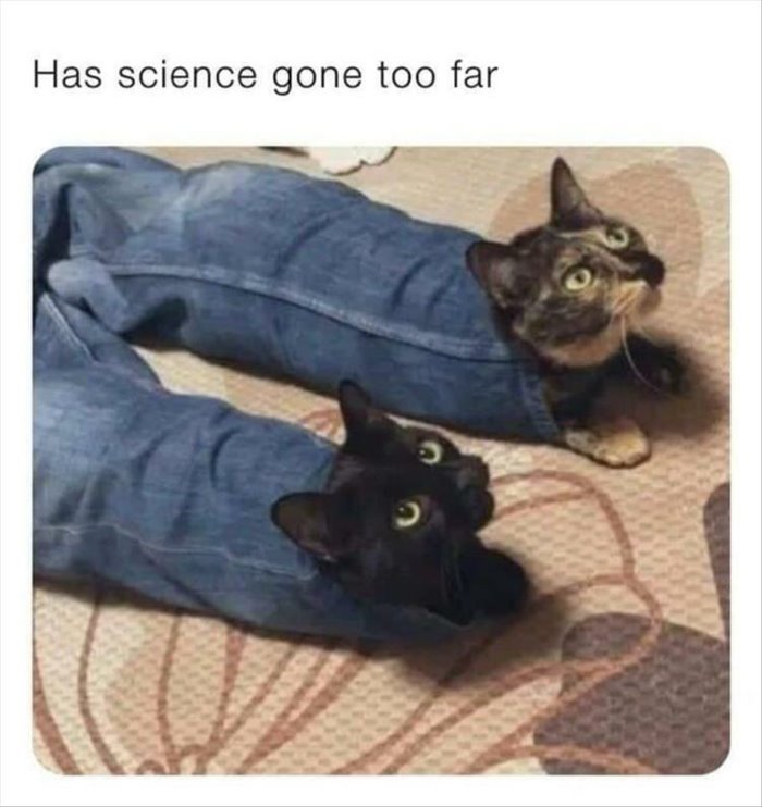 science has gone too far