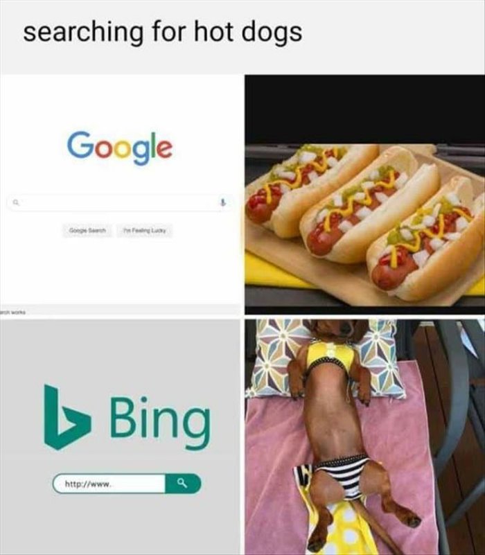 searching for hot dog