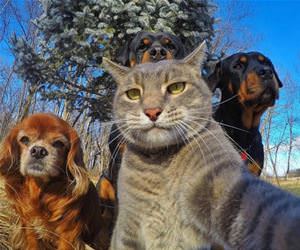 selfie of the whole crew funny picture