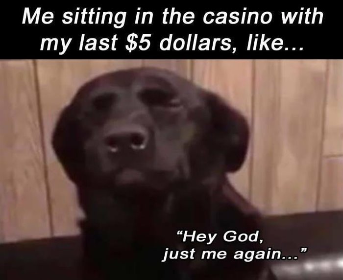 sitting at the casino