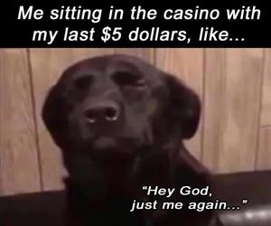 sitting at the casino