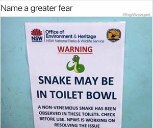 snake may bite