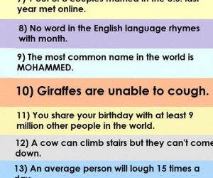 some cool facts funny picture