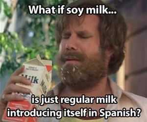 soy milk funny picture