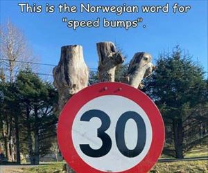 speed bumps ... 2
