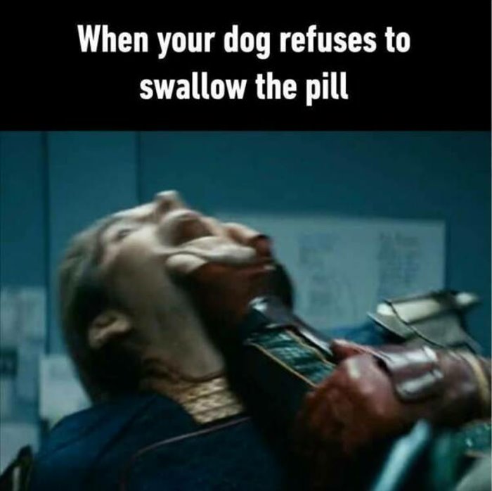 swallow the pill