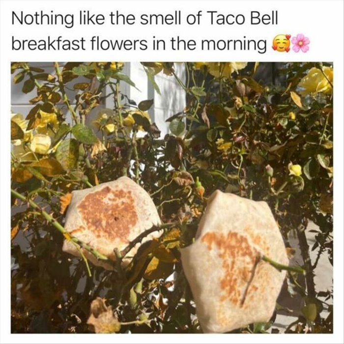 taco bell breakfast