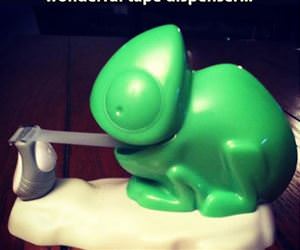 tape dispenser funny picture