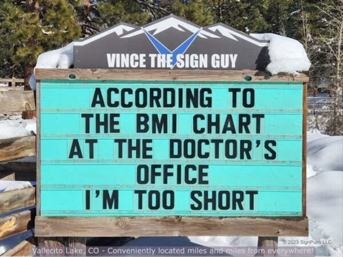 the BMI chart