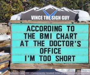 the BMI chart