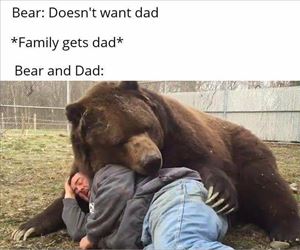 the bear