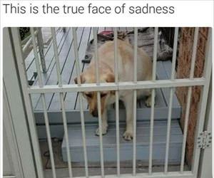 the face of sadness