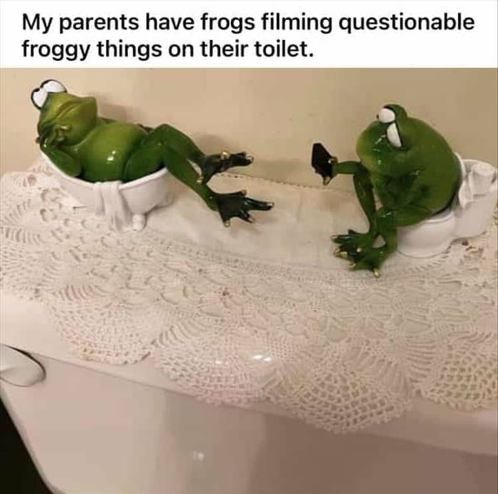 the frogs