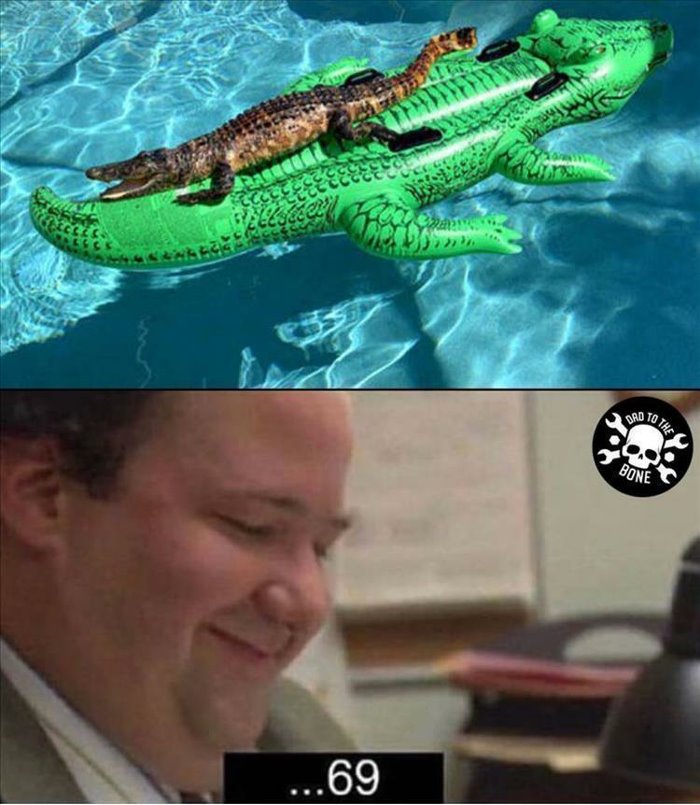 the gator 9