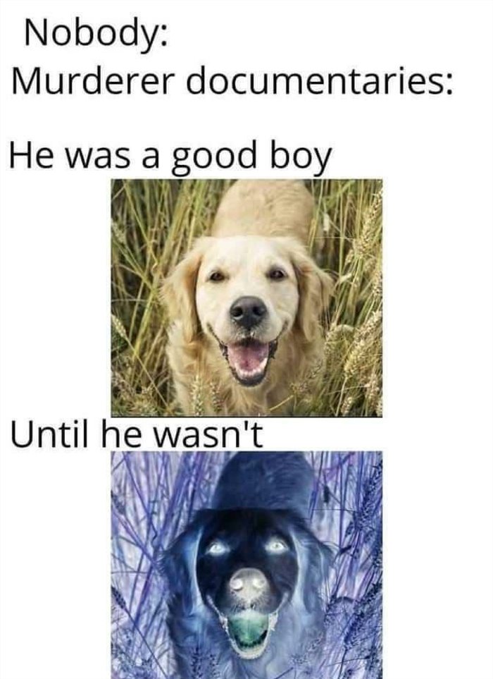 the good boy