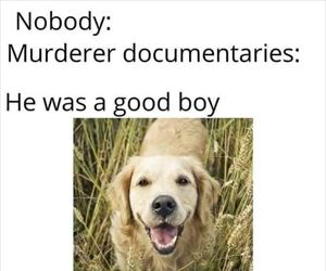 the good boy