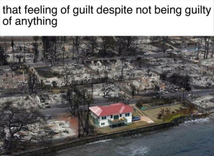 the guilt