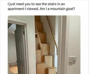 the stairs