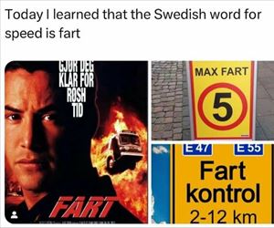 the swedish word