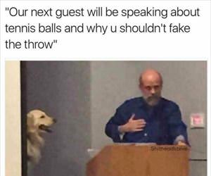 the tennis balls