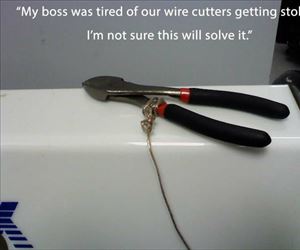 the wire cutters