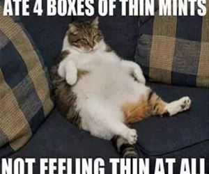 thin mints funny picture