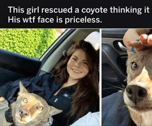 this girl rescued