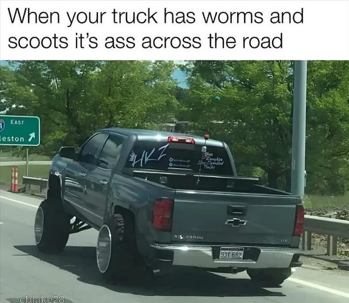 truck has worms