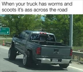 truck has worms