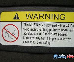 V8 Mustang funny picture