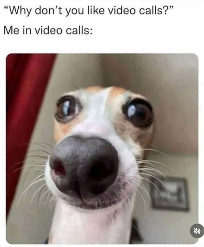 video calls ... 2