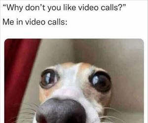 video calls ... 2