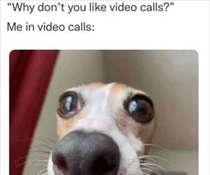 video calls ... 2