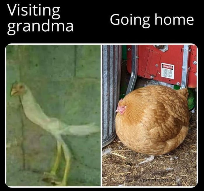 visiting grandma ... 2