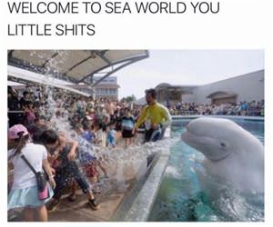 welcome to sea world funny picture